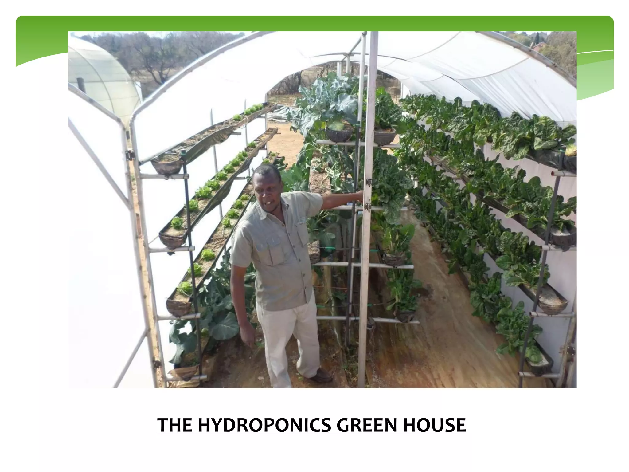 THE HYDROPONICS GREEN HOUSE

 