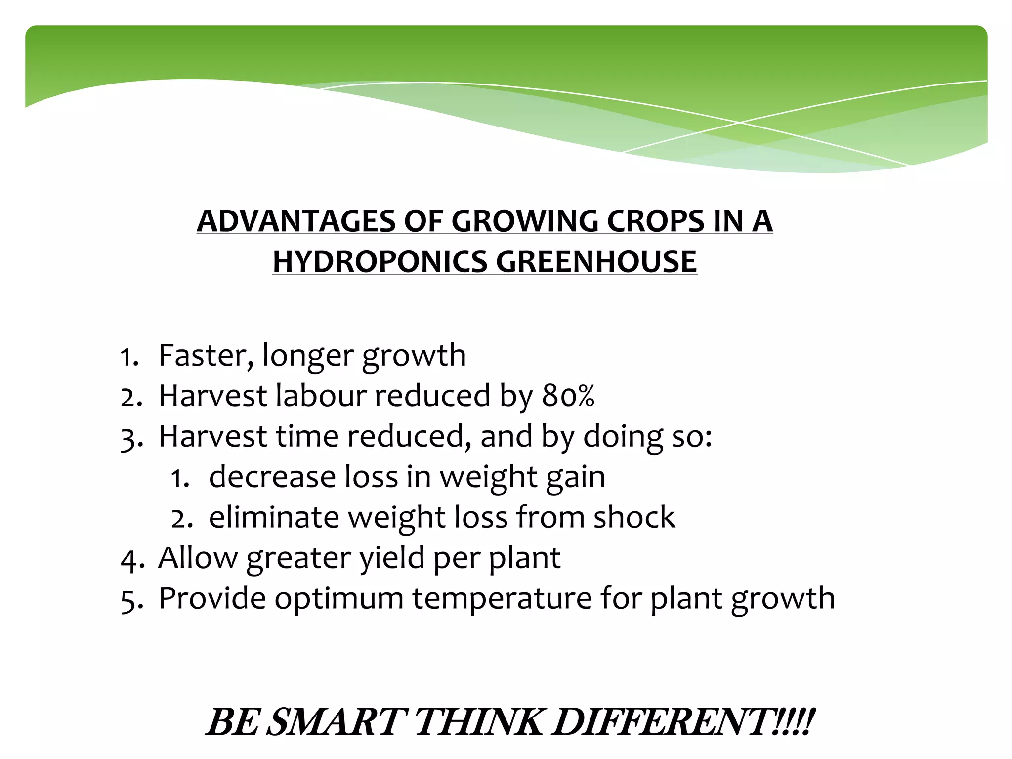ADVANTAGES OF GROWING CROPS IN A
HYDROPONICS GREENHOUSE
1. Faster, longer growth
2. Harvest labour reduced by 80%
3. Harvest time reduced, and by doing so:
1. decrease loss in weight gain
2. eliminate weight loss from shock
4. Allow greater yield per plant
5. Provide optimum temperature for plant growth

BE SMART THINK DIFFERENT!!!!

 
