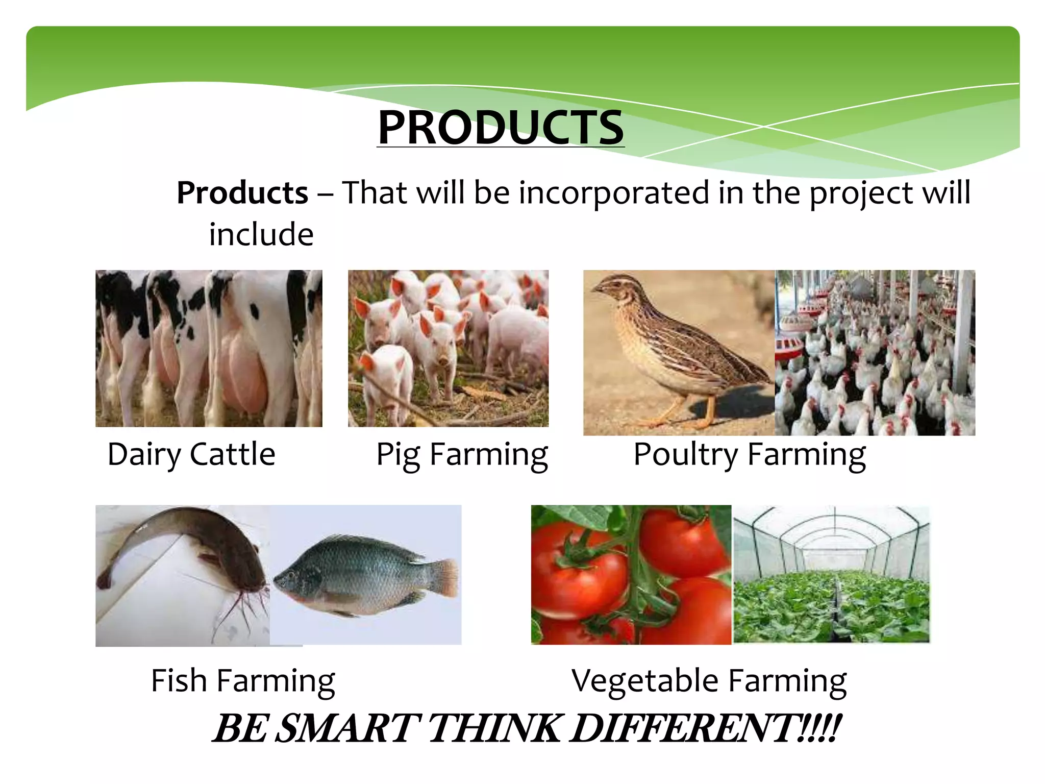 PRODUCTS
Products – That will be incorporated in the project will
include

Dairy Cattle

Fish Farming

Pig Farming

Poultry Farming

Vegetable Farming

BE SMART THINK DIFFERENT!!!!

 
