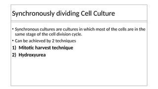 Synchronous Cell Divisions Radiosensitivity and cell age in mitotic cycle | PPTX