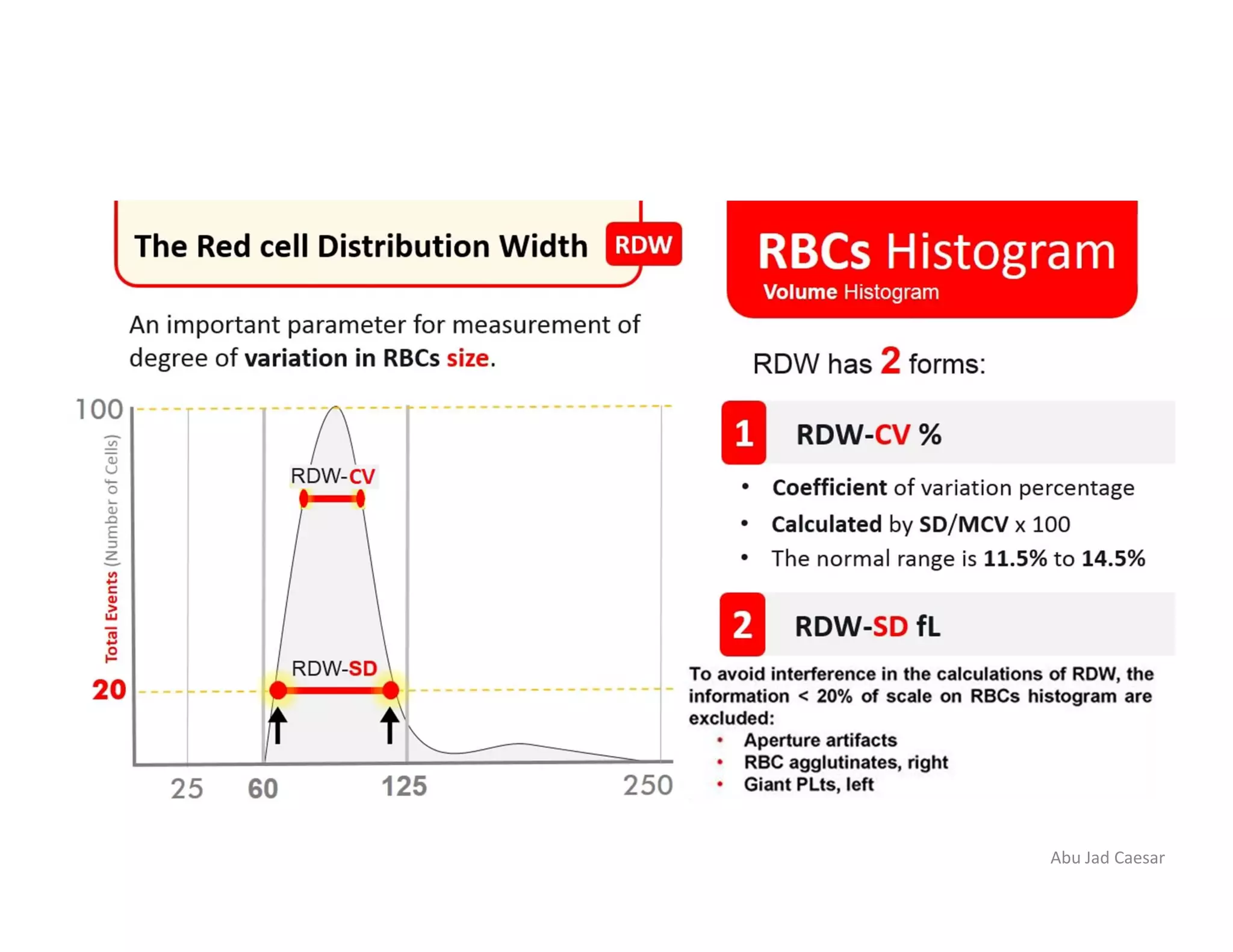 RBC Histogram | PDF