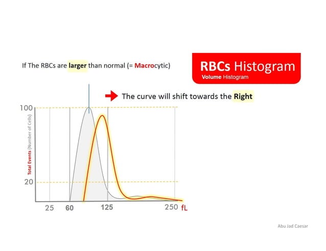RBC Histogram | PDF