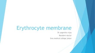 Erythrocyte membrane 
Dr yogendra vijay 
Resident doctor 
Sms medical college jaipur 
 