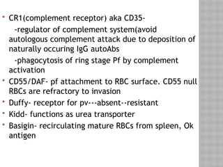  CR1(complement receptor) aka CD35-
-regulator of complement system(avoid
autologous complement attack due to deposition of
naturally occuring IgG autoAbs
-phagocytosis of ring stage Pf by complement
activation
 CD55/DAF- pf attachment to RBC surface. CD55 null
RBCs are refractory to invasion
 Duffy- receptor for pv---absent--resistant
 Kidd- functions as urea transporter
 Basigin- recirculating mature RBCs from spleen, Ok
antigen
 