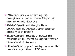  EMA(eosin-5-maleimide binding test-
flowcytometric test to observe CM protein
interaction with EMA dye
 SDS-PAGE(sodium dodecyl sulfate
polyacrylamide gel electrophoresis)—to
quantify each protein
 Ektacytometry- reveals characteristic
response of RBC memb to laser diffraction
biomechanical stressors
 LC-MS/MS(mass spectrometry)—analyse the
protein composition of RBC memb
 