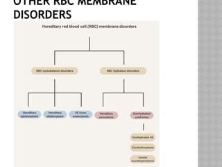 OTHER RBC MEMBRANE
DISORDERS
 