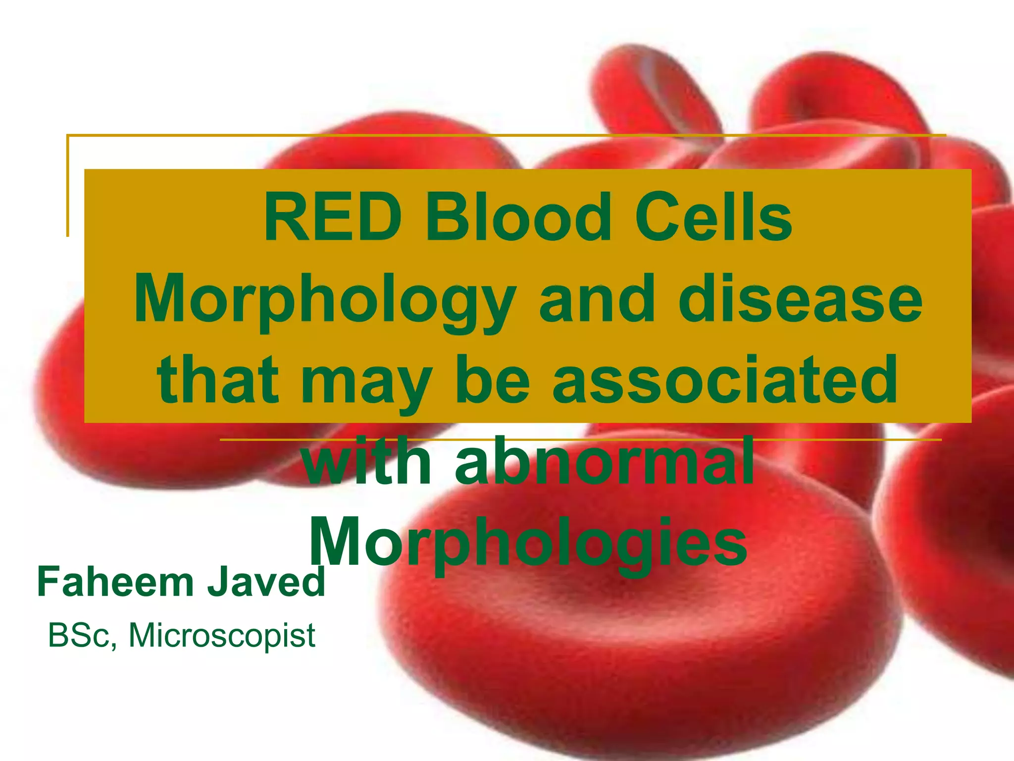 RBC morphology and Disease that may be associated with abnormal ...