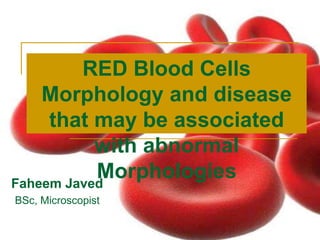 RED Blood Cells
Morphology and disease
that may be associated
with abnormal
MorphologiesFaheem Javed
BSc, Microscopist
 