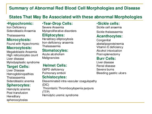 rbc morphology abnormal