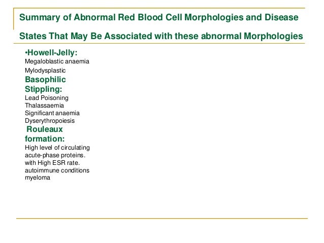 rbc morphology abnormal