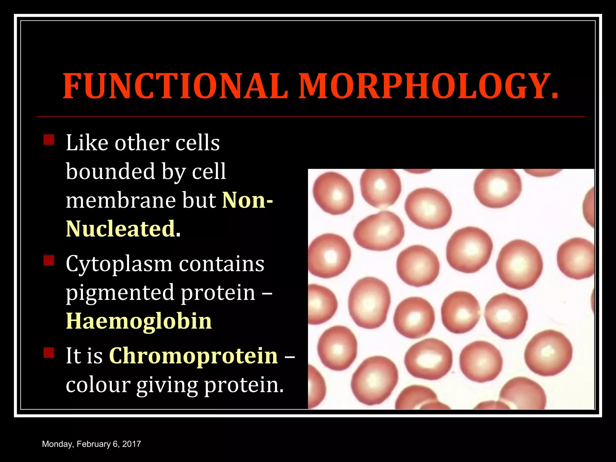 Rbc morphology | PPT