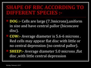 Rbc morphology | PPT