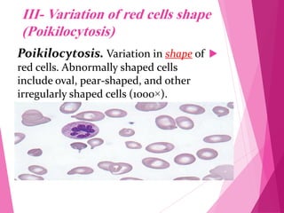 RBC Morphology.pdf
