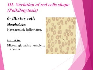 RBC Morphology.pdf