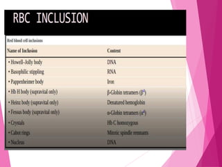 RBC Morphology.pdf