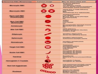 Eumorphic Rbc RBC Morphology.pdf