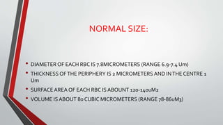 RED BLOOD CELLS (RBC) | PPTX
