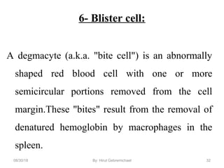 6- Blister cell:
A degmacyte (a.k.a. "bite cell") is an abnormally
shaped red blood cell with one or more
semicircular portions removed from the cell
margin.These "bites" result from the removal of
denatured hemoglobin by macrophages in the
spleen.
08/30/18 By: Hirut Gebremichael 32
 