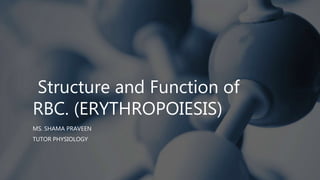 Structure and Function of
RBC. (ERYTHROPOIESIS)
MS. SHAMA PRAVEEN
TUTOR PHYSIOLOGY
 