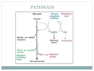 Rbc structure and metabolism | PPTX