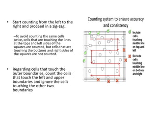 red blood cells counting hemocytometer Laboratory | PDF