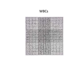 red blood cells counting hemocytometer Laboratory | PDF