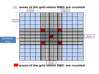 red blood cells counting hemocytometer Laboratory | PDF