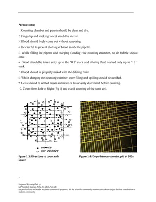 Rbc Count Grid Rbc,wbc count | DOCX