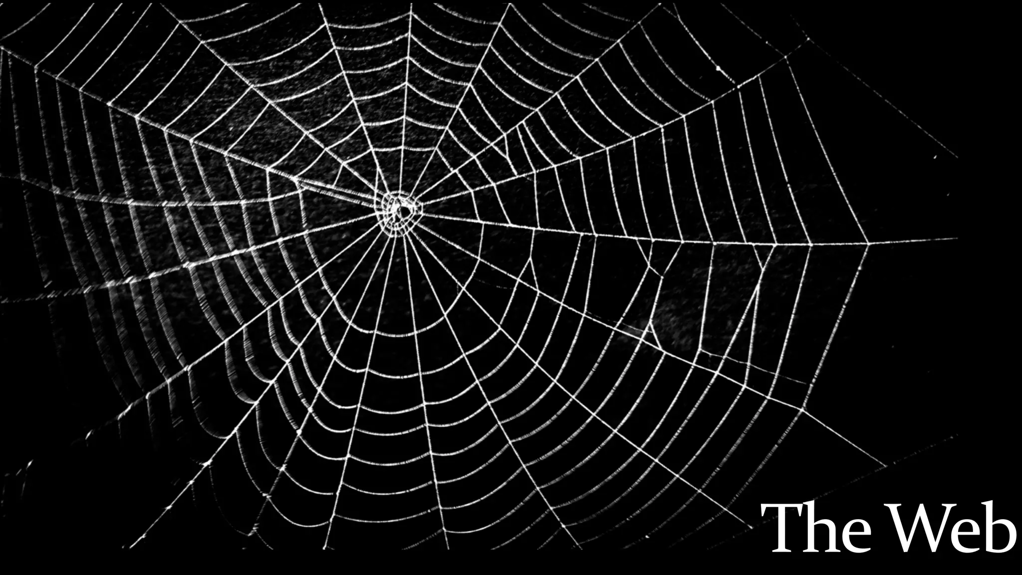 The	Web
 