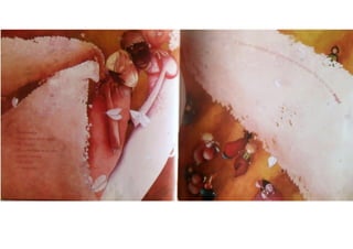 Rèbecca Dautremer - Enamorados