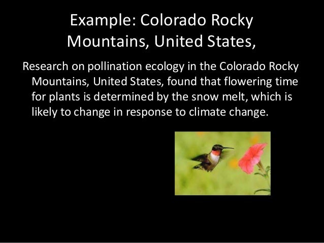 difference between in situ and ex situ conservation pdf