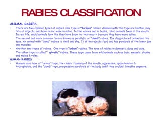Rabies | PPT