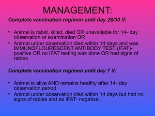 MANAGEMENT: Complete vaccination regimen until day 28/30 if: Animal is rabid, killed, died OR unavailable for 14- day observation or examination OR Animal under observation died within 14 days and was IMMUNOFLOURESCENT ANTIBODY TEST (IFAT)- positive OR no IFAT testing was done OR had signs of rabies   Complete vaccination regimen until day 7 if: Animal is alive AND remains healthy after 14- day observation period Animal under observation died within 14 days but had no signs of rabies and as IFAT- negative. 