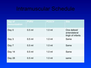 Intramuscular Schedule Day of Immunization PVRV PCECV Site Day 0 0.5 ml 1.0 ml One deltoid/ anterolateral thigh of infants Day 3 0.5 ml 1.0 ml Same Day 7 0.5 ml 1.0 ml Same Day 14 0.5 ml 1.0 ml Same Day 28 0.5 ml 1.0 ml same 