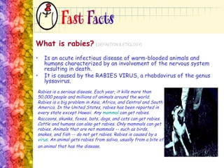 What is rabies?   ( DEFINITION & ETIOLOGY) Is an acute infectious disease of warm-blooded animals and humans characterized by an involvement of the nervous system resulting in death.  It is caused by the RABIES VIRUS, a rhabdovirus of the genus lyssavirus. Rabies is a serious disease. Each year, it kills more than 50,000 people and millions of animals around the world. Rabies is a big problem in Asia, Africa, and Central and South America. In the United States, rabies has been reported in every state except Hawaii. Any  mammal  can get rabies. Raccoons, skunks, foxes, bats, dogs, and cats can get rabies. Cattle and humans can also get rabies. Only mammals can get rabies. Animals that are not mammals -- such as birds, snakes, and fish -- do not get rabies. Rabies is caused by a  virus.  An animal gets rabies from saliva, usually from a bite of an animal that has the disease.   