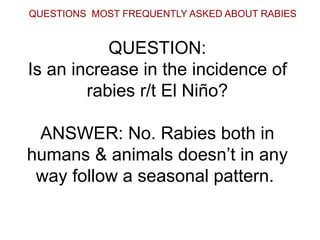 QUESTION: Is an increase in the incidence of rabies r/t El Niño? ANSWER: No. Rabies both in humans & animals doesn’t in any way follow a seasonal pattern.  QUESTIONS  MOST FREQUENTLY ASKED ABOUT RABIES 