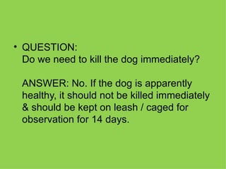 QUESTION: Do we need to kill the dog immediately? ANSWER: No. If the dog is apparently healthy, it should not be killed immediately & should be kept on leash / caged for observation for 14 days. 