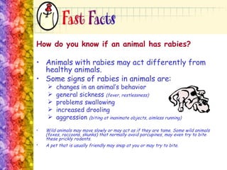 Rabies | PPT