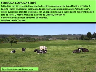 SERRA DA COVA DA SERPE
Esténdese con dirección N-S facendo linde entre as provincias de Lugo (Guitiriz e Friol) e A
Coruña (Curtis e Sobrado). Está formada por granitos de dúas micas, gneis “ollo de sapo”,
xistos, cuarcitas e granitos intrusivos. Ten un aspecto masivo e suave cunha maior inclinación
cara ao leste. O monte máis alto é a Pena do Ombral, con 644 m.
Na vertente oeste nacen afluentes do Mandeo.
Accedese desde Teixeiro.
Aproveitamento agro-gandeiro na serra.
 