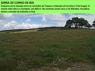 SERRA DE CORNO DE BOI
Pequena serra situada entre os concellos de Toques e Sobrado (A Coruña) e Friol (Lugo). O
monte máis alto é o Campelo, con 803 m. Na vertente oeste nace o río Mandeo. Accedese
desde a estrada de Sobrado a Friol.
 
