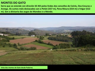 Vista dos montes do Gato desde Paderne.
MONTES DO GATO
Serra que se estende con direción SE-NO polos lindes dos concellos de Coirós, Oza-Cesuras e
Aranga. Os cumes máis destacados son o Petón (557 m), Pena Moura (554 m) e Felgar (512
m). Son a divisoria das augas do Mandeo e o Mendo.
 