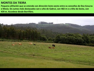 MONTES DA TIEIRA
Pequena aliñación que se estende con dirección leste-oeste entre os concellos de Oza-Cesuras
e Mesía. Os cumes máis destacados son o alto de Gabrui, con 482 m e o Alto do Sesto, con
439 m. Accedese desde Borrifáns.
 
