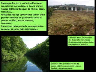 Nas augas dos ríos e nas beiras fórmanse
ecosistemas moi variados e dunha grande
riqueza biolóxica: bosques de ribeira, pozas,
marismas...
Asociados aos ríos consérvanse tamén unha
grande cantidade de patrimonio cultural:
pontes, muíños, mazos, caneiros,
lavadoiros...
Numerosas rutas por toda a área permiten
percorrer as zonas máis interesantes.
Os cursos altos e medios dos ríos do
espazo están flanqueados por bosques
de ribeira ben conservados.
Esteiro do Baxoi. Os principais
ríos da zona forman, na súa
desembocadura, esteiros dunha
grande riqueza biolóxica.
 