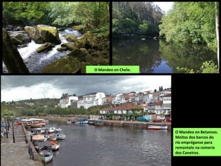 O Mandeo en Betanzos.
Moitos dos barcos do
río empréganse para
remontalo na romería
dos Caneiros.
O Mandeo en Chelo.
 