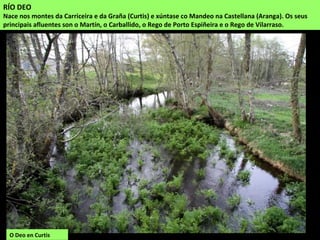 O Deo en Curtis
RÍO DEO
Nace nos montes da Carriceira e da Graña (Curtis) e xúntase co Mandeo na Castellana (Aranga). Os seus
principais afluentes son o Martín, o Carballido, o Rego de Porto Espiñeira e o Rego de Vilarraso.
 