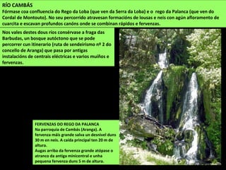 RÍO CAMBÁS
Fórmase coa confluencia do Rego da Loba (que ven da Serra da Loba) e o rego da Palanca (que ven do
Cordal de Montouto). No seu percorrido atravesan formacións de lousas e neis con agún afloramento de
cuarcita e escavan profundos canóns onde se combinan rápidos e fervenzas.
FERVENZAS DO REGO DA PALANCA
Na parroquia de Cambás (Aranga). A
fervenza máis grande salva un desnivel duns
30 m en neis. A caída principal ten 20 m de
altura.
Augas arriba da fervenza grande atópase o
atranco da antiga minicentral e unha
pequena fervenza duns 5 m de altura.
Nos vales destes dous ríos consérvase a fraga das
Barbudas, un bosque autóctono que se pode
percorrer cun itinerario (ruta de sendeirismo nº 2 do
concello de Aranga) que pasa por antigas
instalacións de centrais eléctricas e varios muíños e
fervenzas.
 