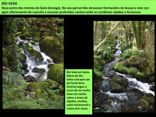 RÍO VEXO
Nace preto dos montes do Gato (Aranga). No seu percorrido atravesan formacións de lousas e neis con
agún afloramento de cuarcita e escavan profundos canóns onde se combinan rápidos e fervenzas.
Río Vexo en Santa
María de Ois.
Unha ruta que sae
de Ponte Xora
(Coirós) segue o
curso do río nunha
zona con varios
saltos e áreas de
rápidos, muíños,
unha minicentral e
restos dun mazo.
 