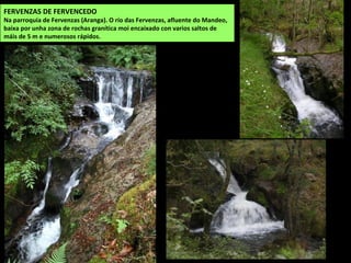 FERVENZAS DE FERVENCEDO
Na parroquia de Fervenzas (Aranga). O río das Fervenzas, afluente do Mandeo,
baixa por unha zona de rochas granítica moi encaixado con varios saltos de
máis de 5 m e numerosos rápidos.
 