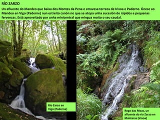 Rego das Moas, un
afluente do río Zarzo en
Mántaras (Irixoa)
RÍO ZARZO
Un afluente do Mandeo que baixa dos Montes da Pena e atravesa terreos de Irixoa e Paderne. Únese ao
Mandeo en Vigo (Paderne) nun estreito canón no que se atopa unha sucesión de rápidos e pequenas
fervenzas. Está aproveitado por unha minicentral que mingua moito o seu caudal.
Río Zarzo en
Vigo (Paderne)
 