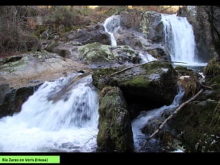 Río Zarzo en Verís (Irixoa)
 